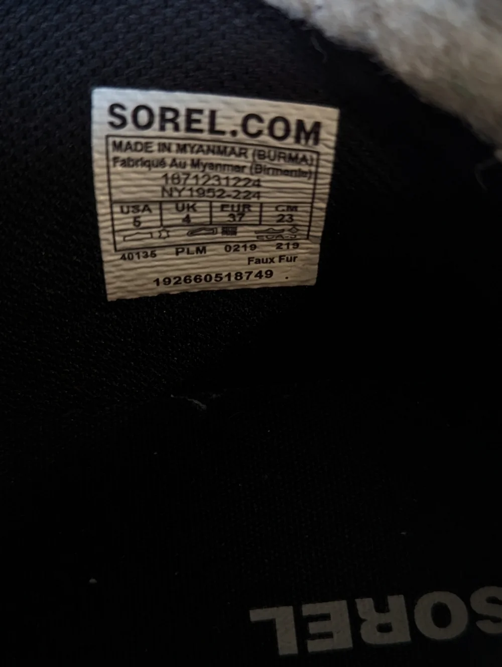 Sorel out about